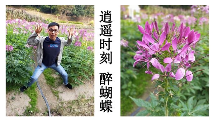 珠海博威智能電網(wǎng)有限公司南昆山白水寨冬季出游！